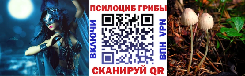 Галлюциногенные грибы MAGIC MUSHROOMS продажа наркотиков Завитинск