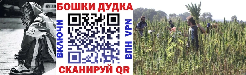 Бошки Шишки THC 21%  omg маркетплейс  Завитинск  закладки 